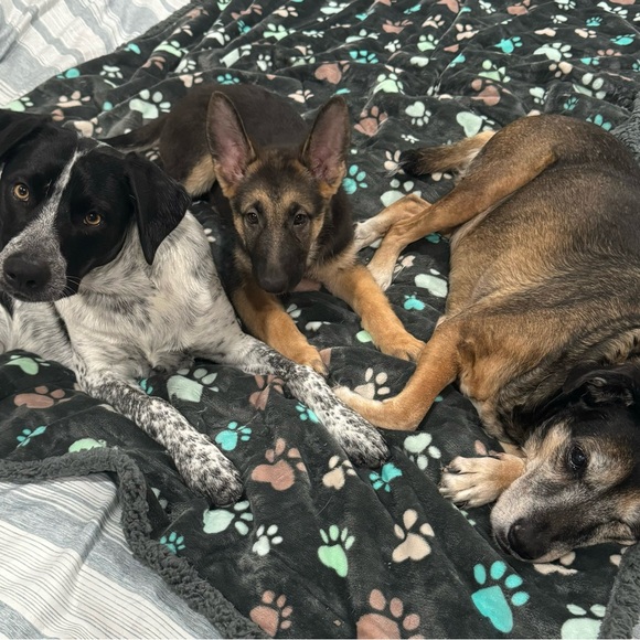 Meet your Posher, Micki - Picture 4 of 6